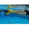 Finis Z2 Gold Zoomers lestad