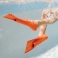 Finis Booster Swim Fins