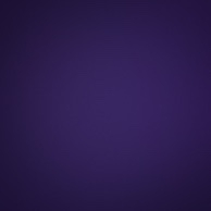 zoggs purple